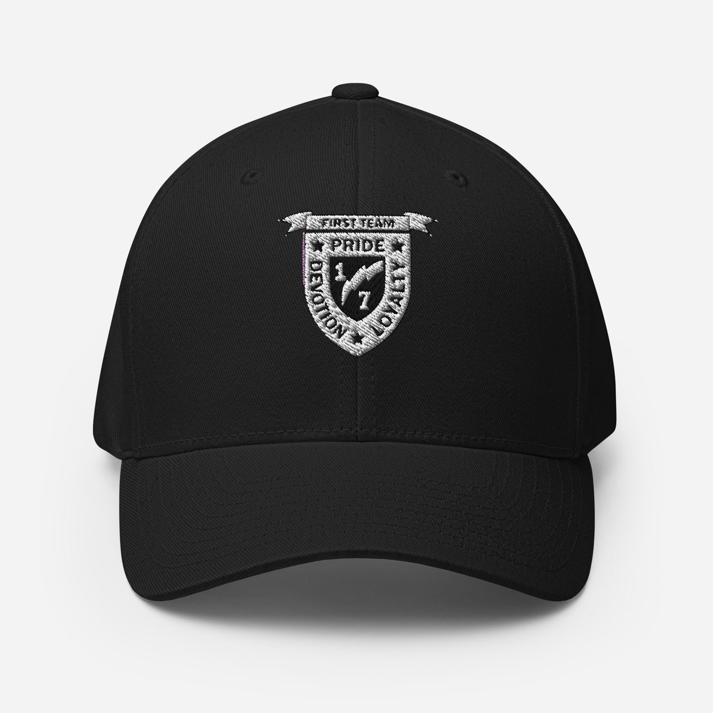 V17 - Ball Cap