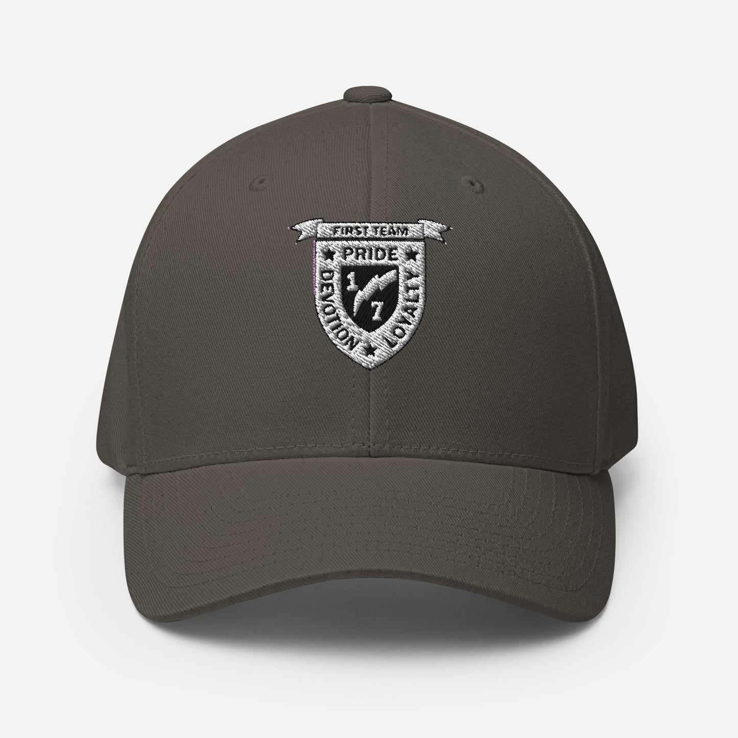 V17 - Ball Cap