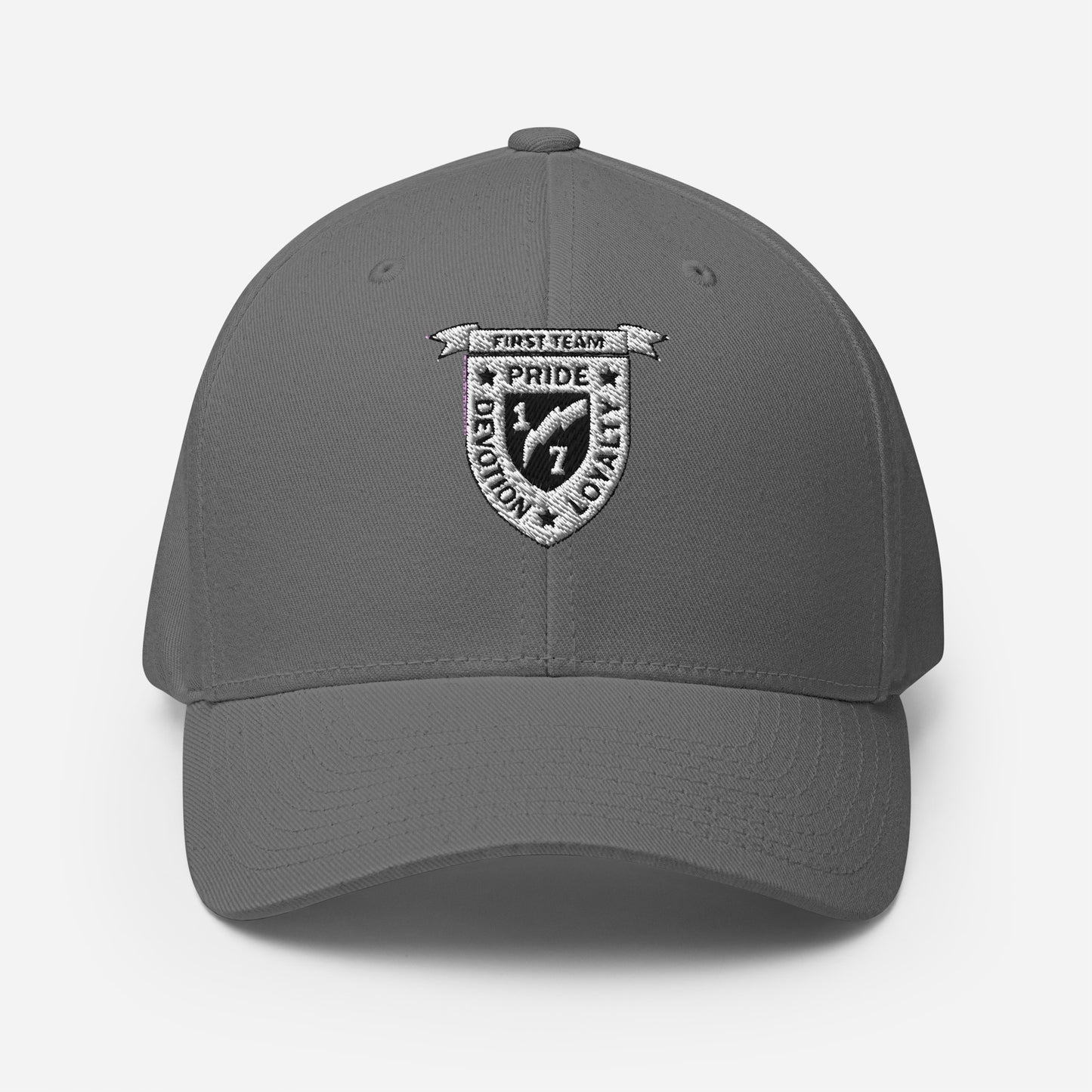 V17 - Ball Cap