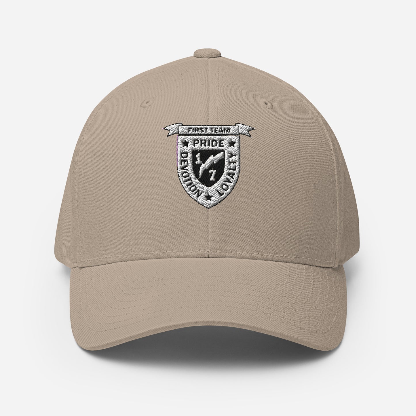 V17 - Ball Cap