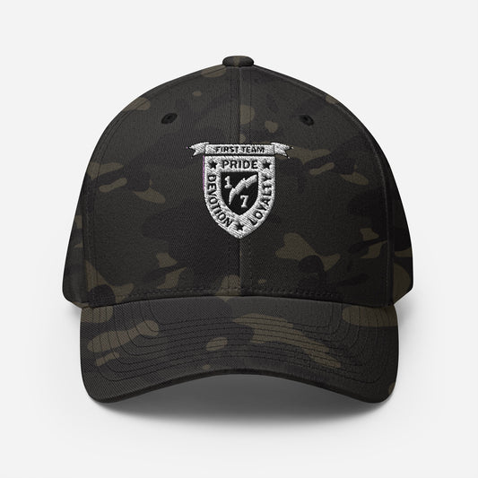 V17 - Ball Cap