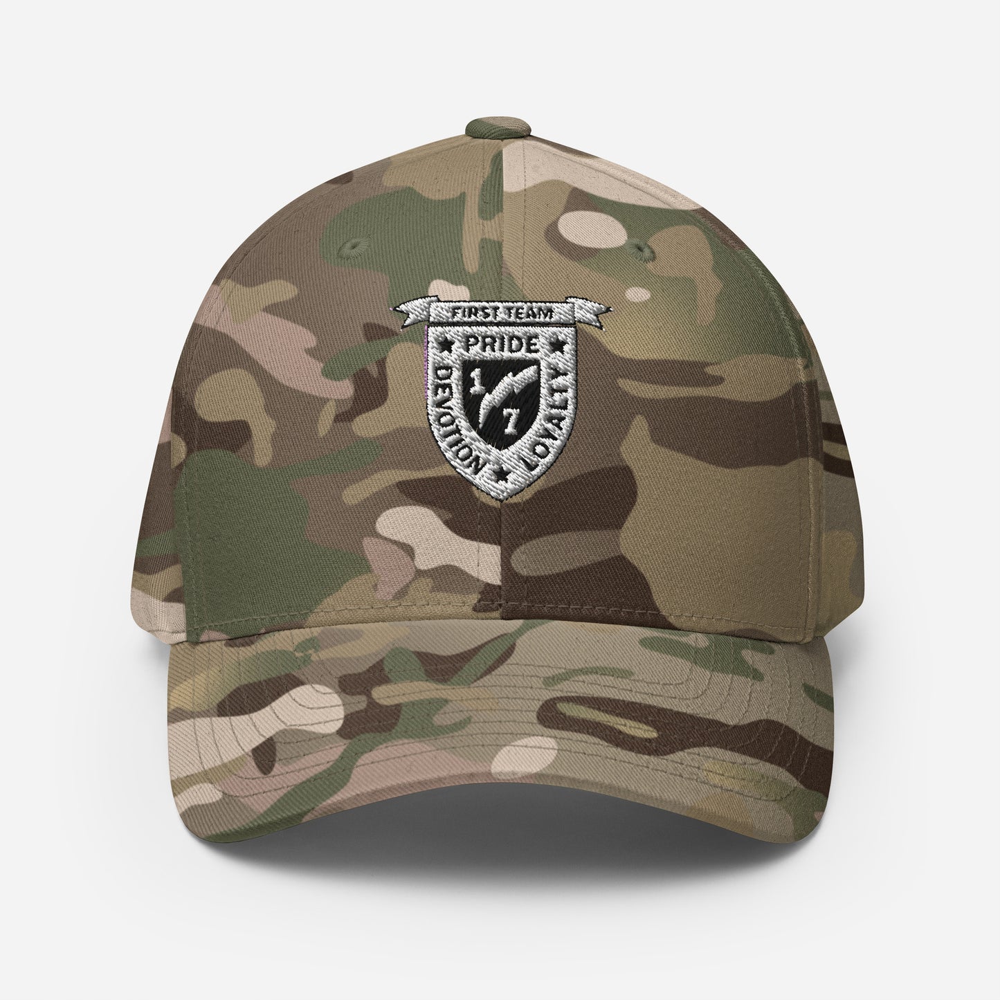 V17 - Ball Cap